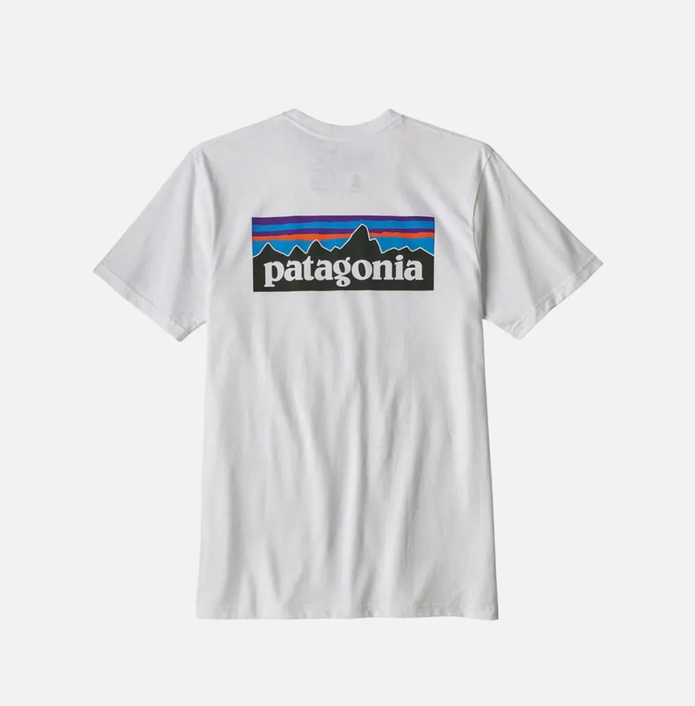 Футболка Patagonia back logo